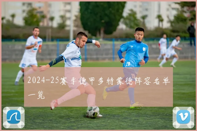2024-25赛季德甲多特蒙德阵容名单一览